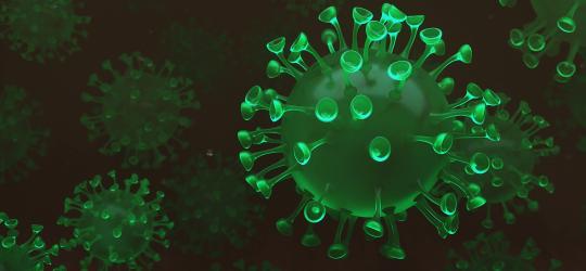 Coronavirus Information